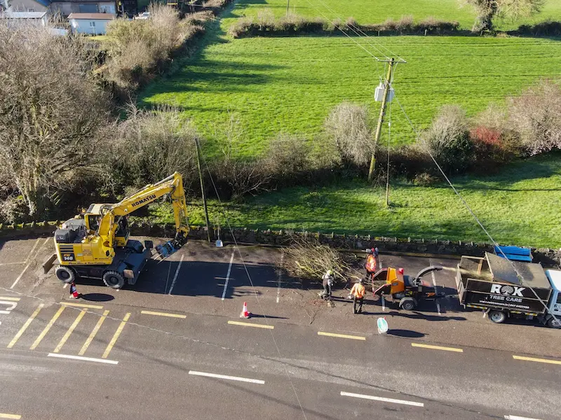 Aerial view of job site involving tree removal in Waterford