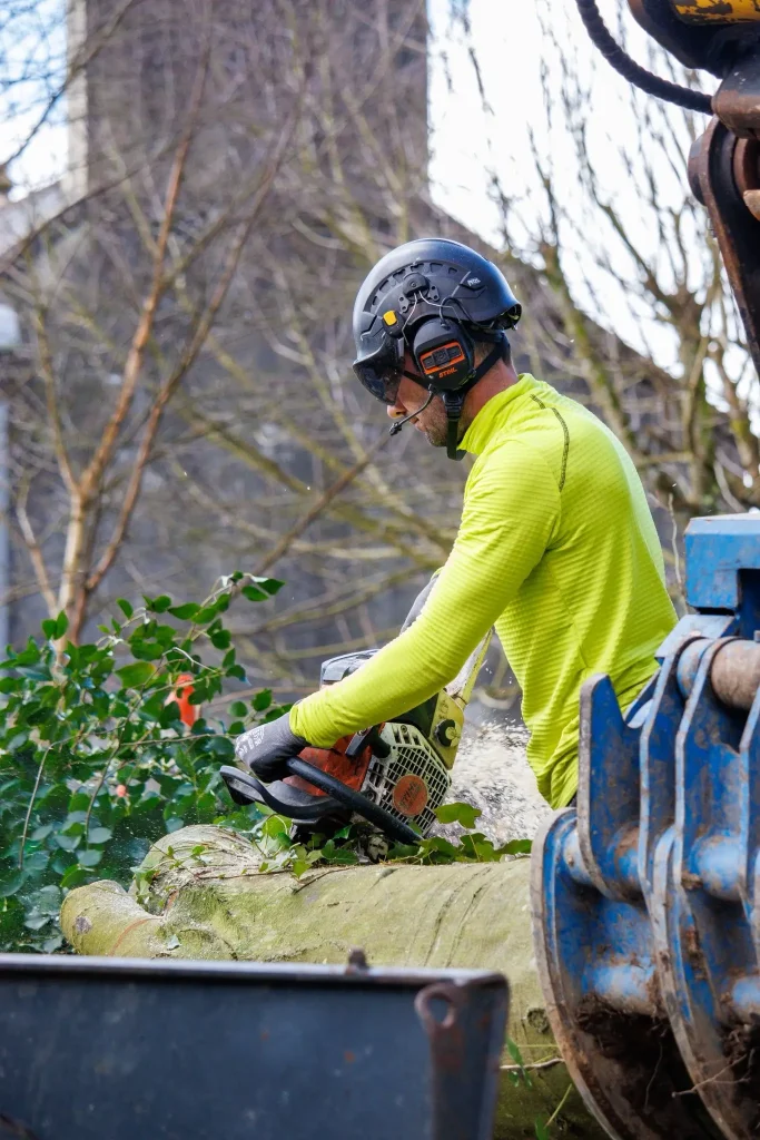 Chainsaw operative cutting timber to size