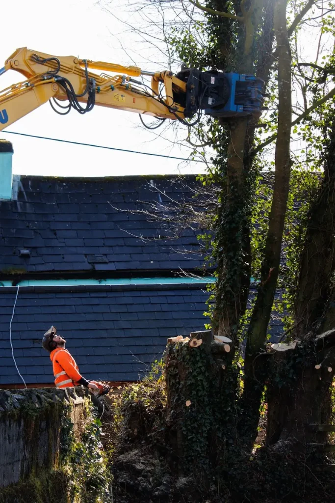 Cut stems being lifted under full control