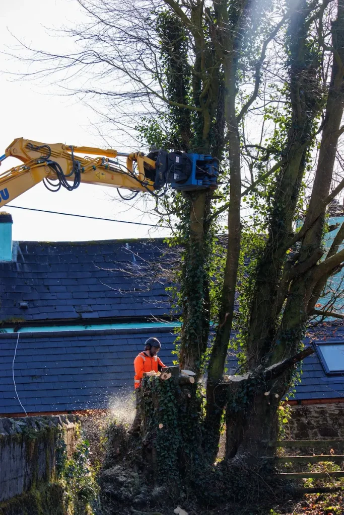 Cutting stems to remove with timber grab
