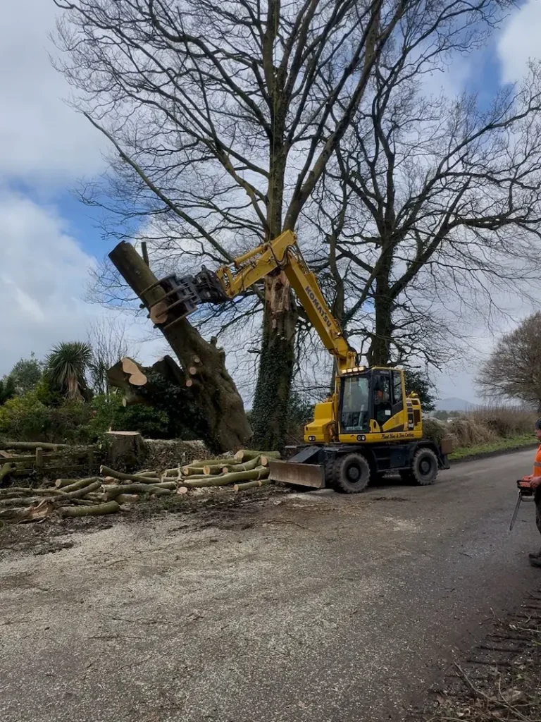 Excavator with grab for lifting heavy timber