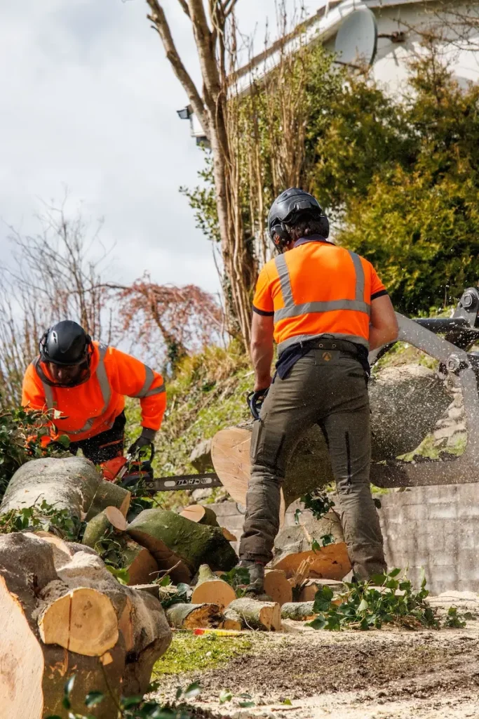 Logging up timber into useable firewood for the customer