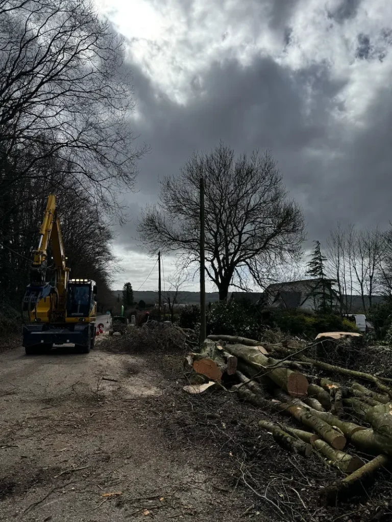 Logs stacked roadside ready for removal from site