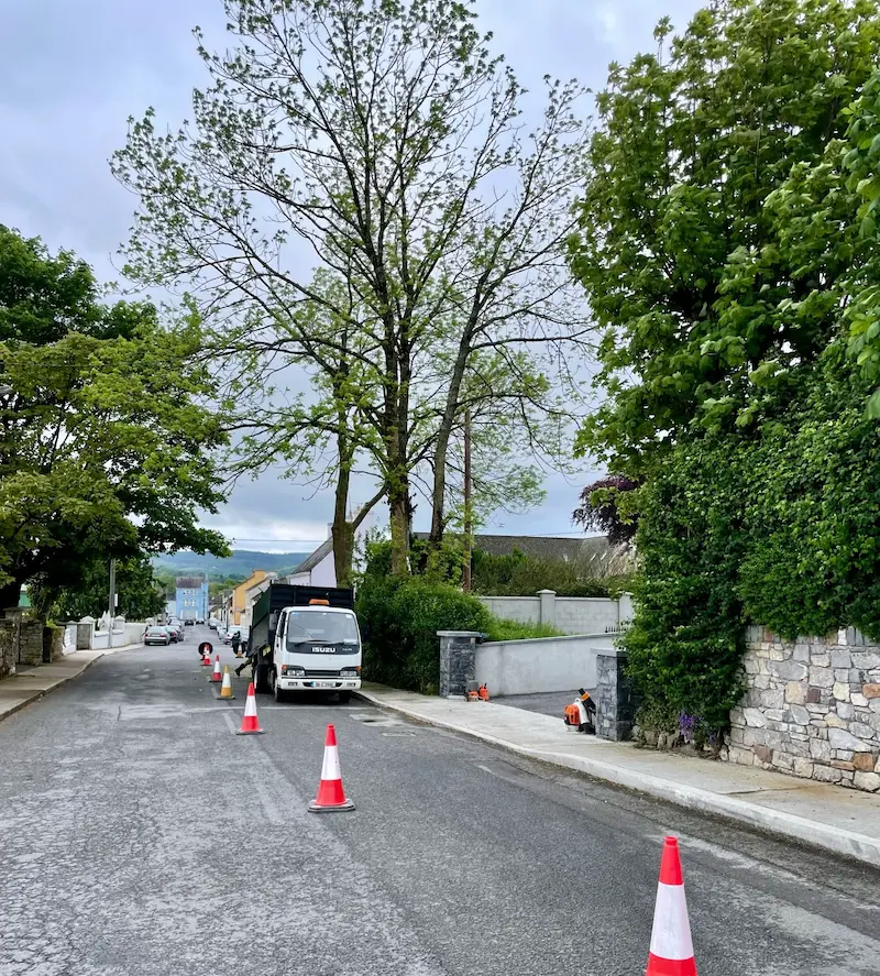 Pollarding roadside ash trees with traffic management in place